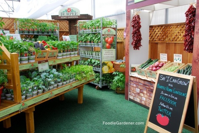 Vegetable Plant Display Burpee Home Garden Varieties by FoodieGardener