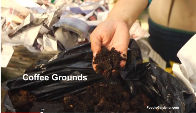 Coffee grounds composting bin foodie gardener