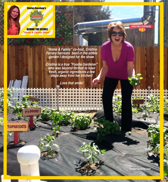 cristina ferrare loves her vegetable garden by shirley bovshow on Home and Family show