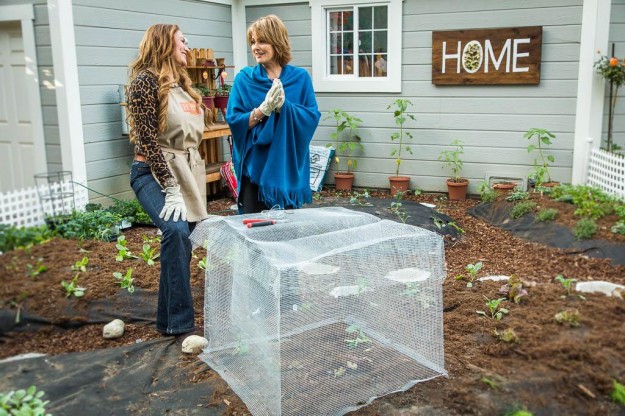shirley bovshow and cristina ferrare build a critter control plant protector cage made from 1/4 inch garden mesh for vegetable garden on Home & Family show