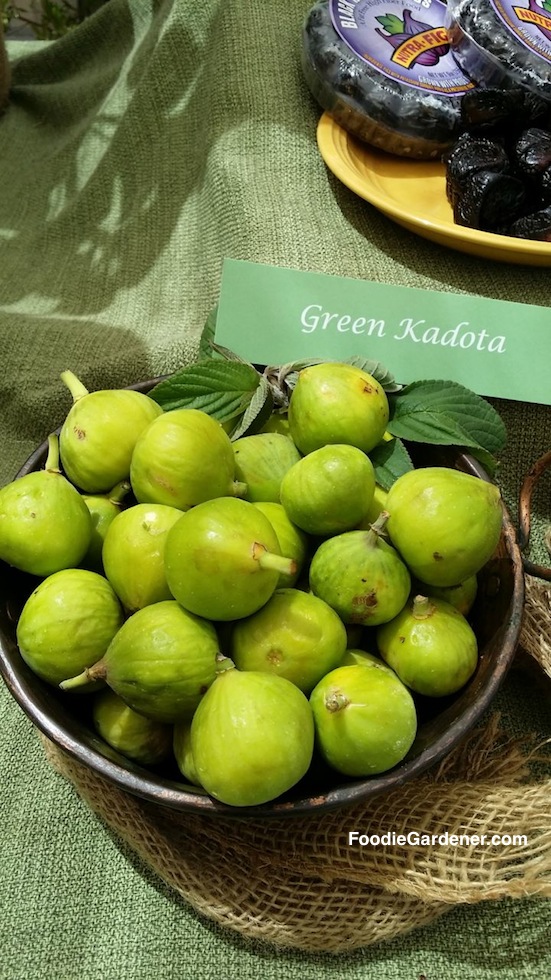 fresh green kadota figs foodie gardener shirley bovshow