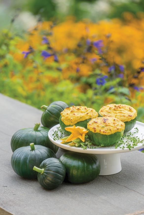 Summer Squash 'Cupcake' Hybrid from Burpee seeds at Foodie Gardener Blog