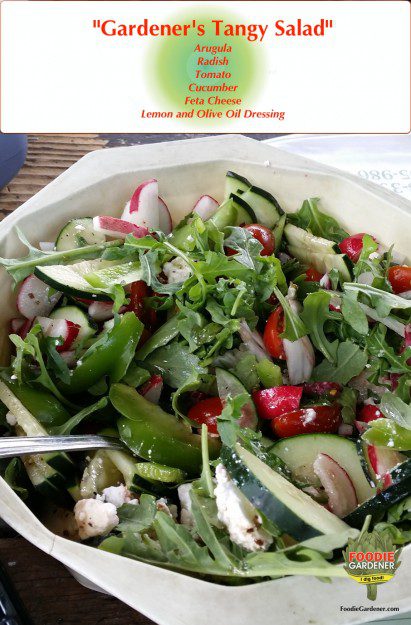 gardeners-tangy-salad-arugula-radish-tomato--cucumber-feta-cheese-foodie-gardener-blog