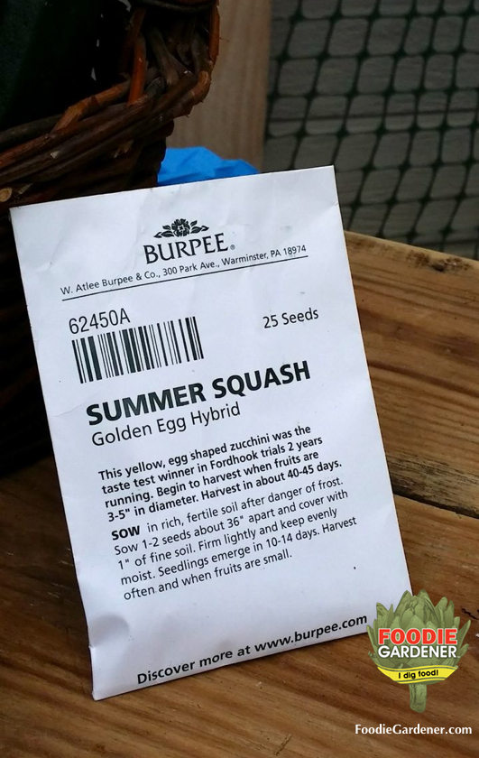 golden-egg-hybrid-summer-squash-seed-packet-burpee-plants-foodie-gardener-blog