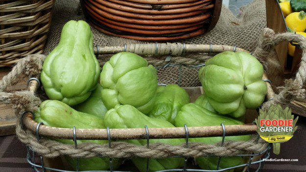 green-chayote-squash-basket-foodie-gardener-blog
