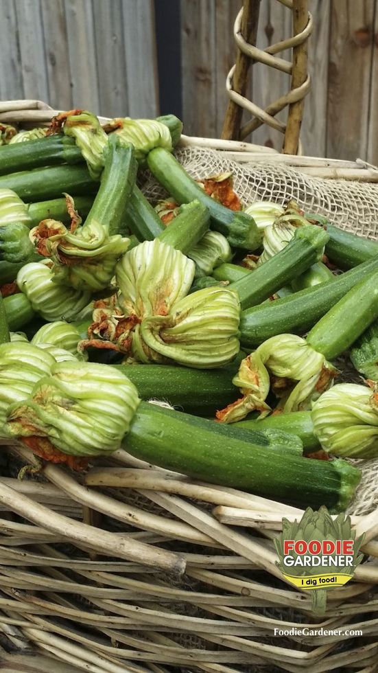 zucchini-blossom-squash-baby-in-basket-stuffed-foodie-gardener-blog
