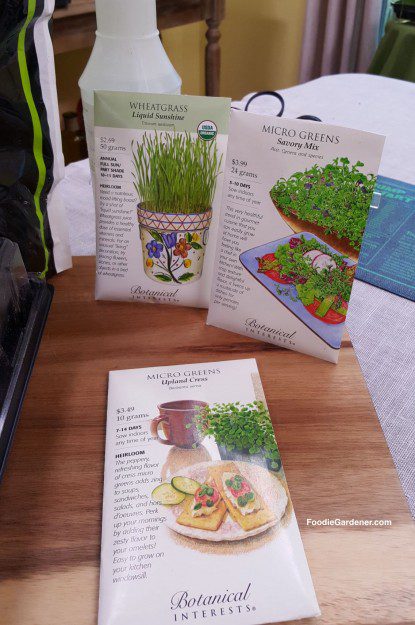 micro-green-wheatgrass-seed-packets-foodie-gardener